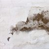 White wall with visible water damage