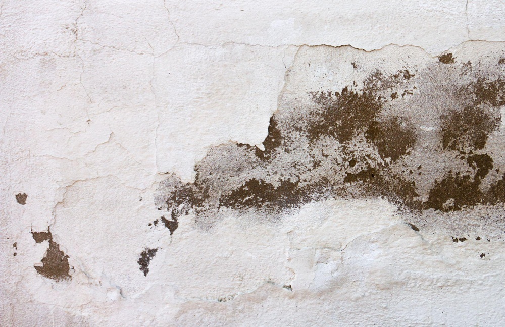 White wall with visible water damage